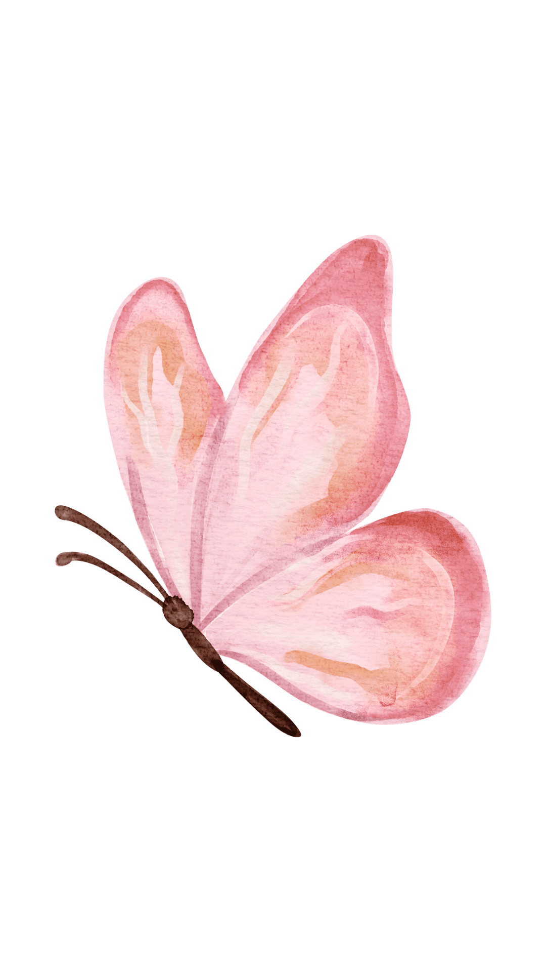 Mariposa flotando
